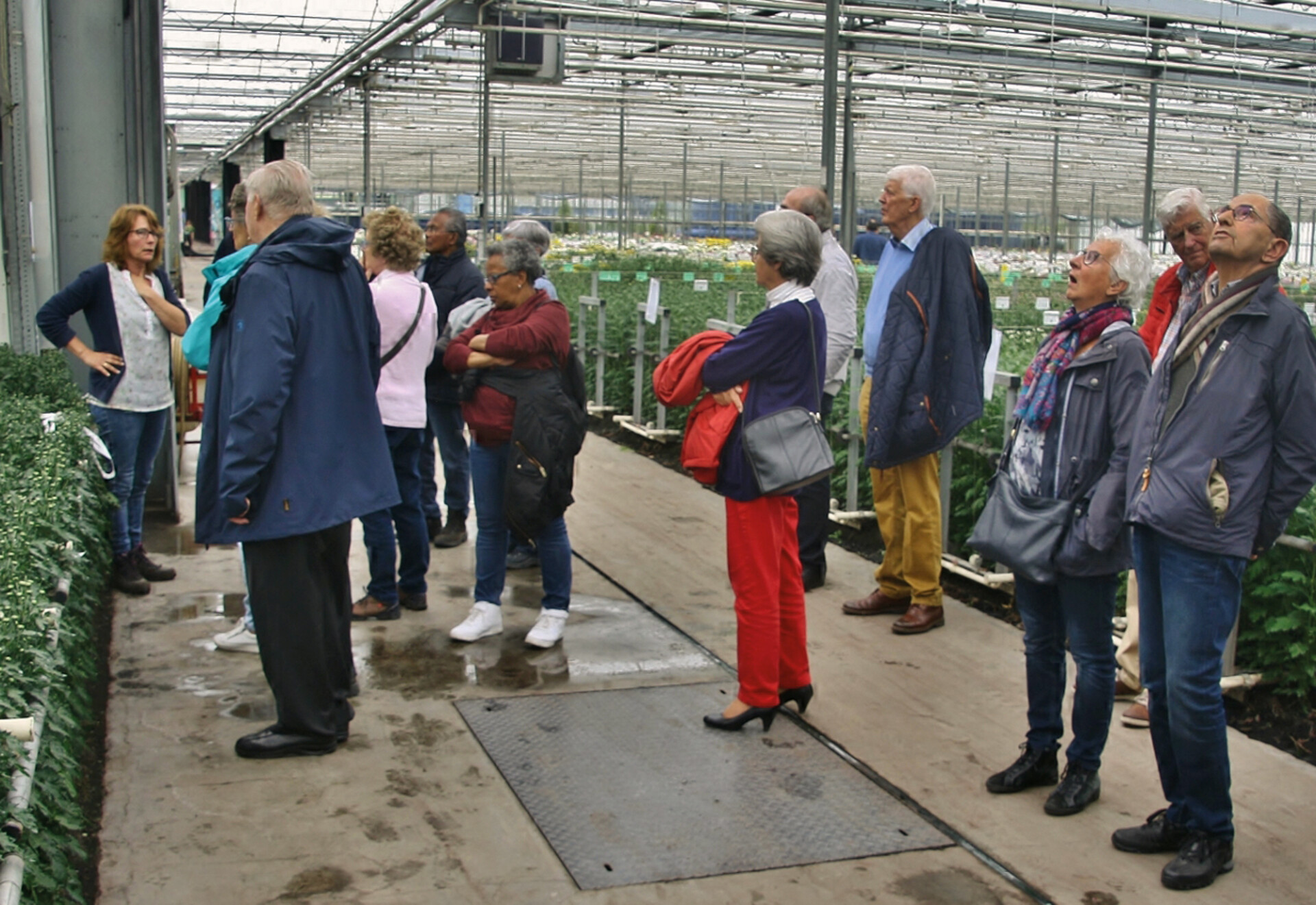 045 EVENEMENT DekkerChrysantenKwekerij